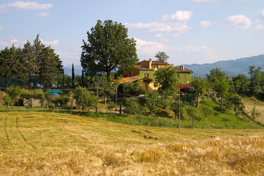 B&B Le Due Volpi Vicchio Buitenkant foto
