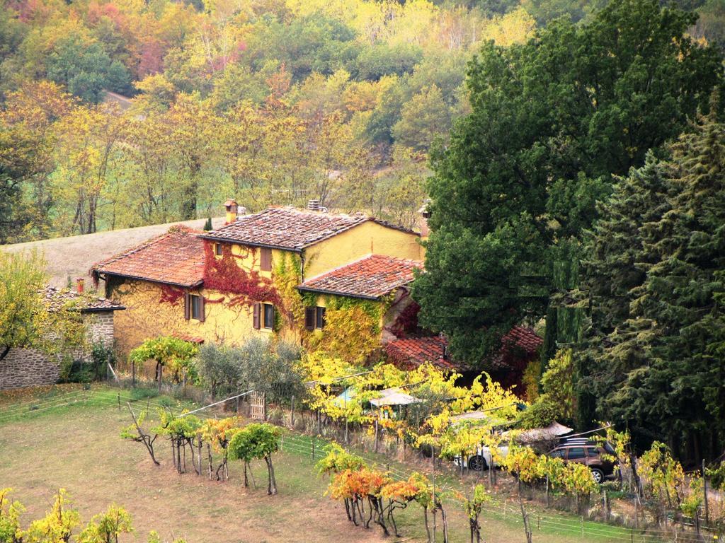 B&B Le Due Volpi Vicchio Buitenkant foto