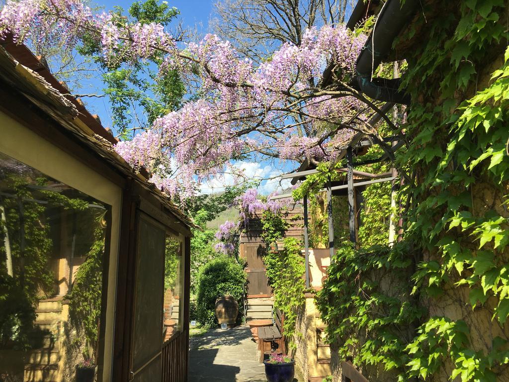 B&B Le Due Volpi Vicchio Buitenkant foto