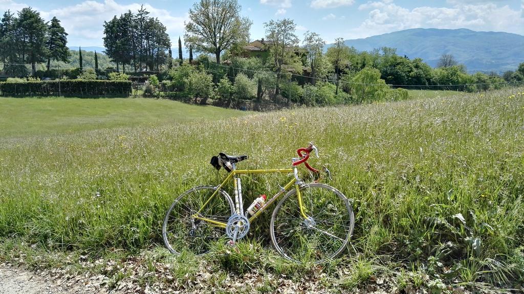 B&B Le Due Volpi Vicchio Buitenkant foto
