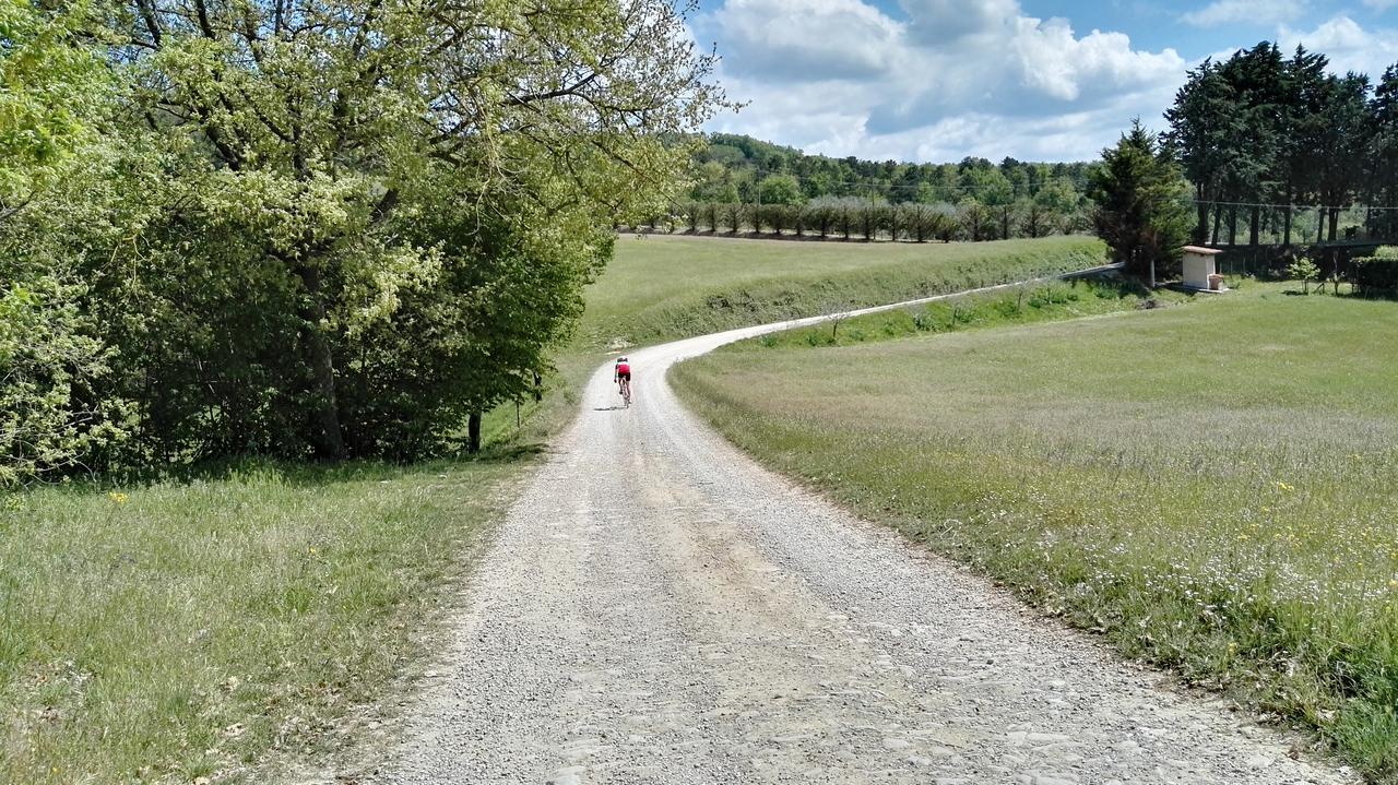 B&B Le Due Volpi Vicchio Buitenkant foto