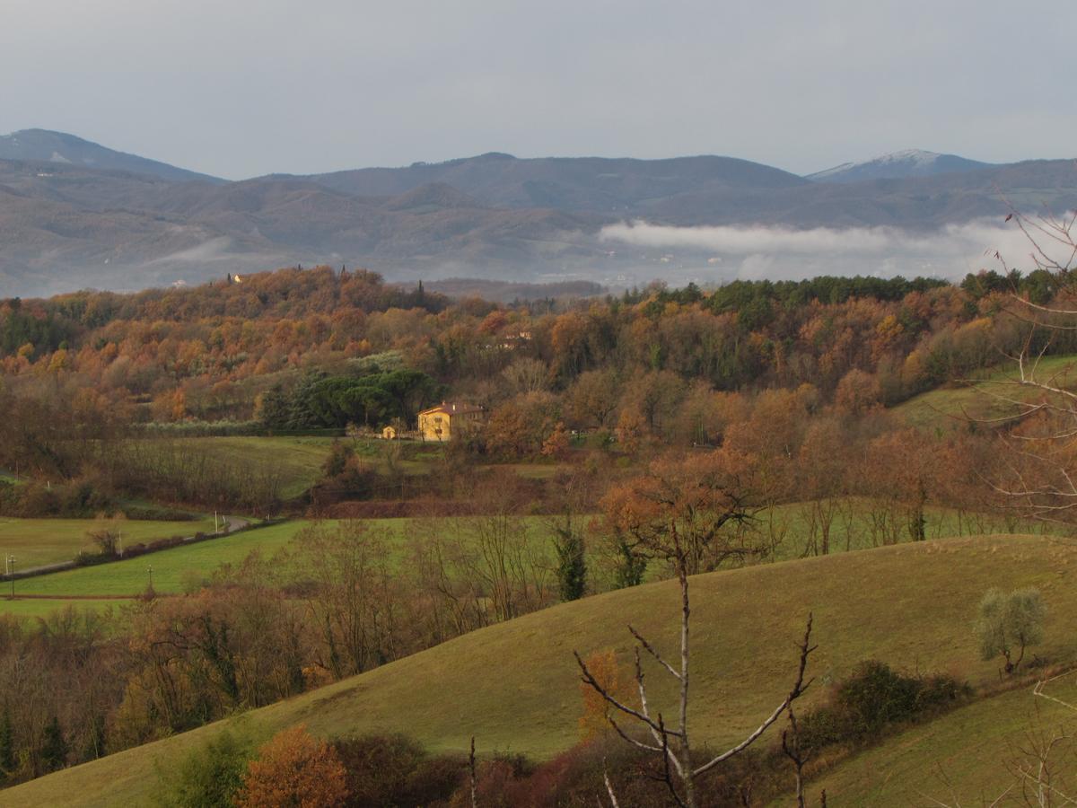 B&B Le Due Volpi Vicchio Buitenkant foto